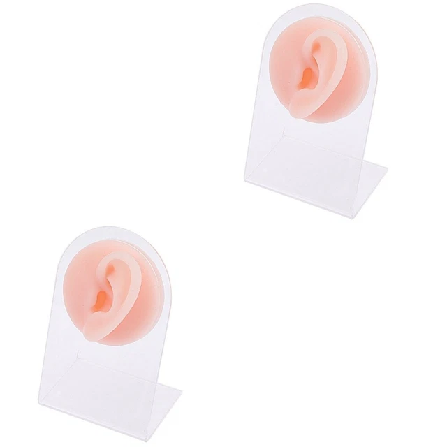 Confezione da 2 supporti modello piercing per orecchini acrilici