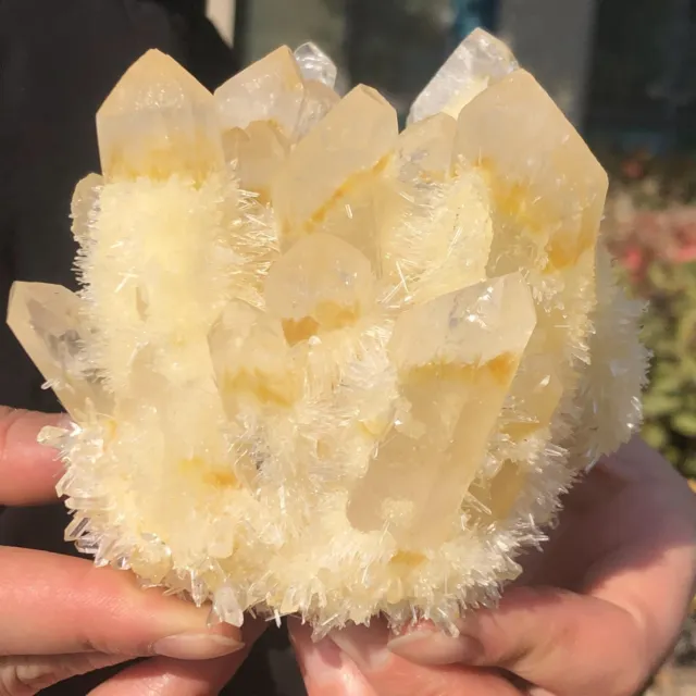638g   New Find yellow Phantom Quartz Crystal Cluster Mineral Specimen Healing