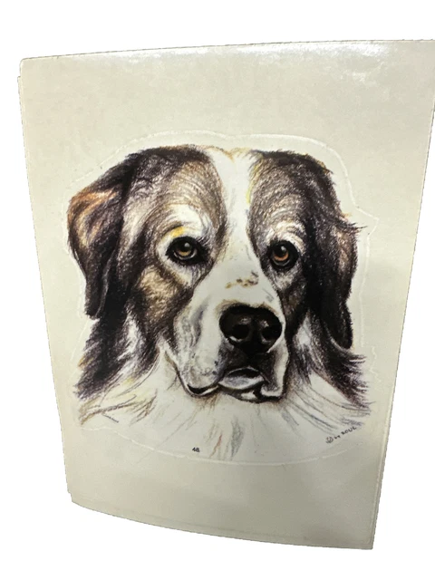 Adesivo ROUL Sticker Adesivo Auto - Cani Amberdog Nuovo Circa 14 Cm