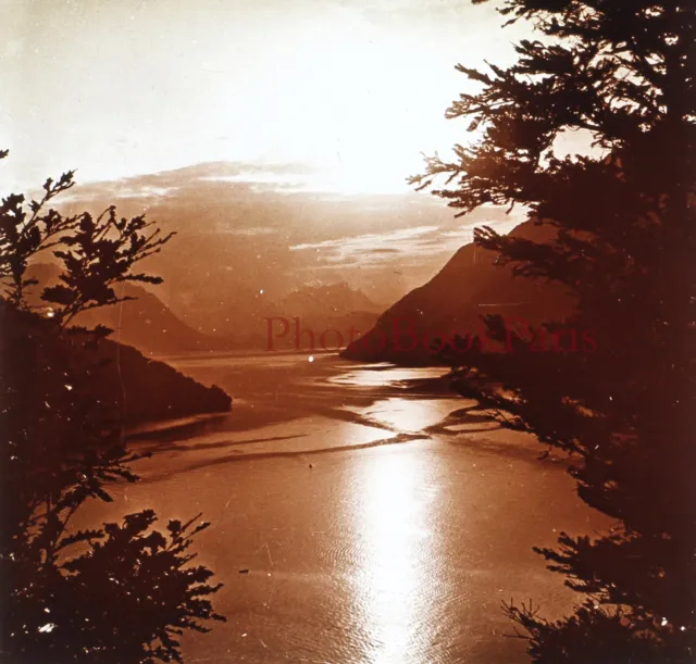 SUISSE Lac des 4 cantons c1910 Photo Plaque de verre Stereo Vintage V28L30n3