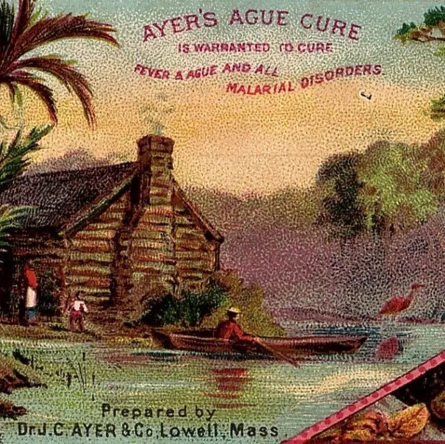 c.1880 Ayer's Ague Cure Trade Card Swamp Anthropomorphic Frogs Malaria Lowell MA