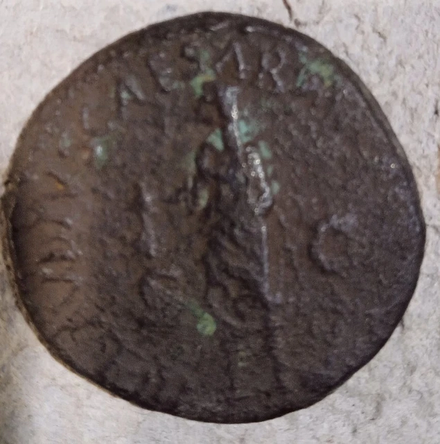 dupondius antonia
