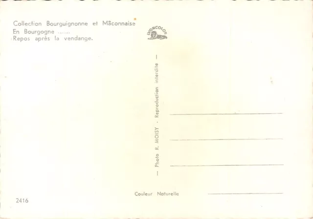 89-Vendanges En Bourgogne-N�349-A/0267 2