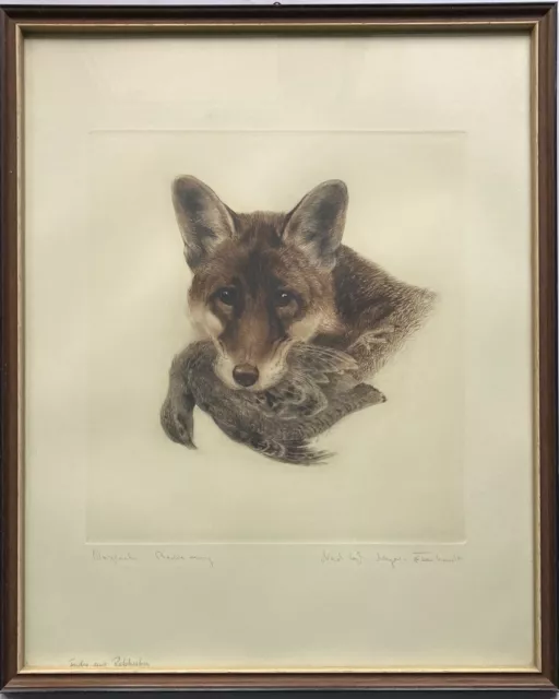 Etching fox with partridge chicken Kurt Meyer-Eberhardt 57.2 x 46.6 cm picture frame