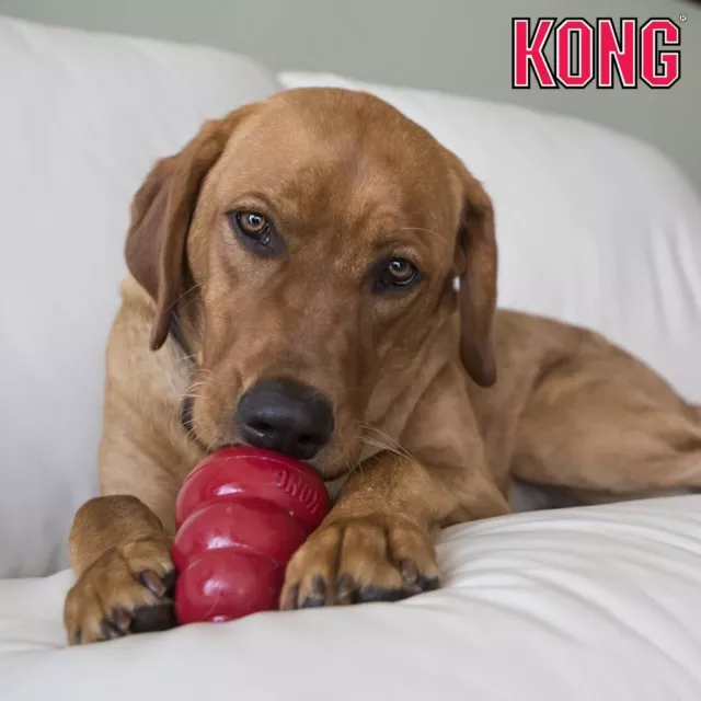 KONG Easy Treat Leckerli Paste - Leber/Erdnussbutter/Käse/Huhn Puppy für Welpen 3