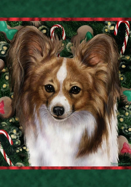 Christmas Holiday Garden Flag - Sable and White Papillon