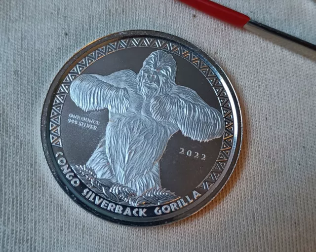 2022 Gorille silverback - Congo 5000 francs CFA argent 1oz .999