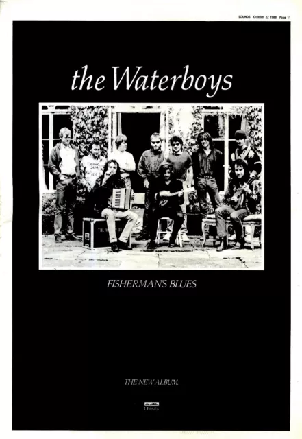 Npbk18 Black & White Picture 15X11 The Waterboys : Fisherman Blues Album