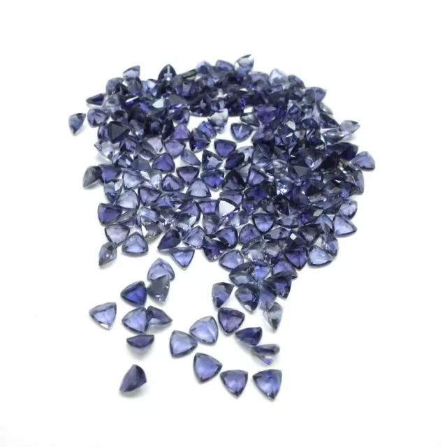 100 Pcs Natural Iolite 6x6mm Trillion Faceted Cut Gemstone SA-142