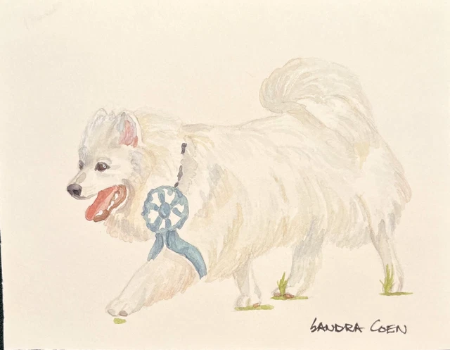 American Eskimo Dog Original Watercolor by Sandra Coen with ribbon