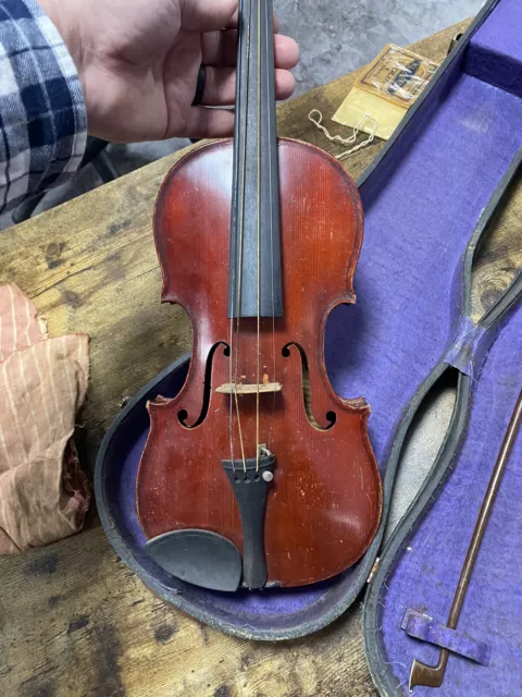 violin