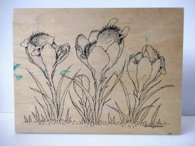 House Mouse Designs 1999 Wood Mounted Rubber Stamp #75  "Sleeping In The Crocus"