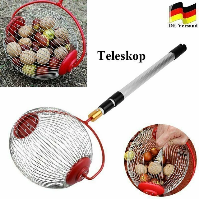 Ramasse-fruits Rouleau 32x19 Cm - Pour Pommes, Noix, Balles De Tennis, Sans Se Baisser