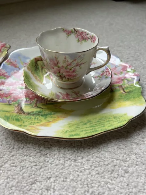 RARE / ROYAL ALBERT " Blossom Time  breakfast set VINTAGE. 7 luxury pieces 2