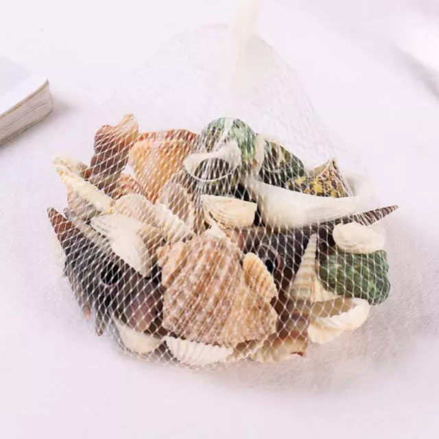 Bag of Assorted Sea Shells - Natural Mixed Bag Value Beach Craft Aquarium
