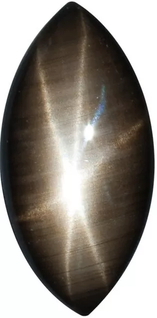 Natural Fine Black Star Sapphire - Marquise Cabochon - AAA Grade - Unheated, Unt