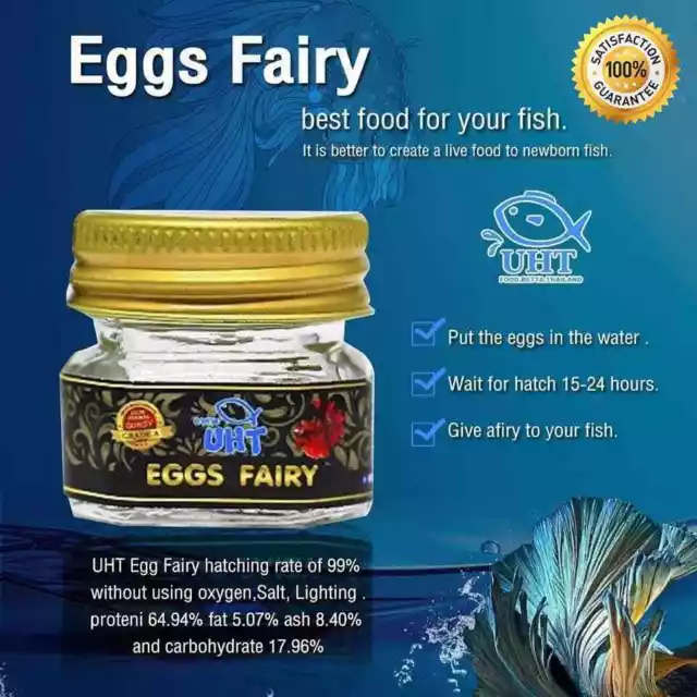 Eggs Fairy Shrimps Live Feed Betta Killifish Guppy Discus Tropical Fish Food