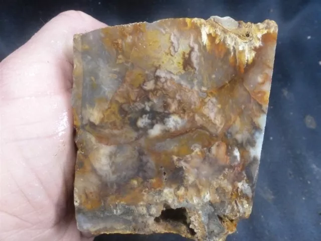 CSS: 1.9 lb Piece Of Regency Rose Plume Agate Rough Rock