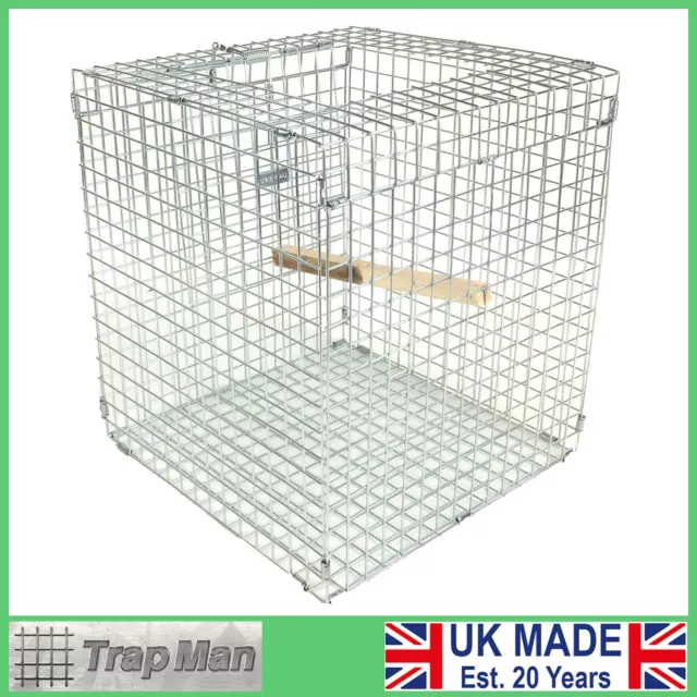 Larsen MATE Magpie CAGE Trap brand new unused UK made TrapMan  magpie trap