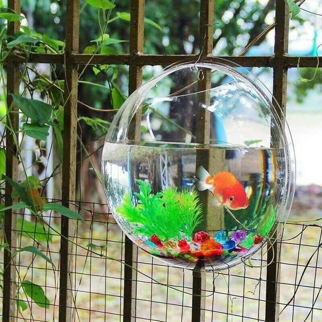 Fish Wall Bowl Beautiful Tank Plexiglass Pet Hanging Aquarium Mount Betta Fish 2