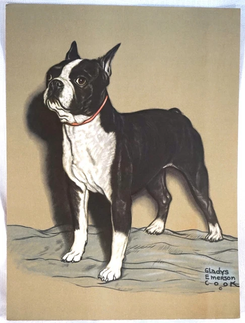 Vintage Print by Gladys Emerson Cook Boston Terrier 12 by 16"
