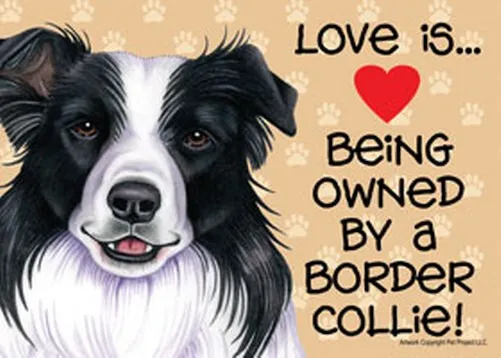 Love Is Being Owned By A Border Collie Cute Heart 5x7 Magnet Or Office Dog Sign