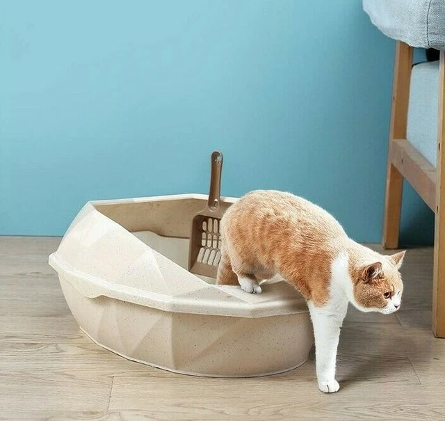 LETTIERA GATTO GATTI Toilette Autopulente Estraibile Ecologica E