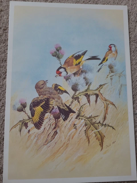 Vintage Canberra Cruise Luncheon Menu - Friday 7Th August 1987 - The Goldfinch