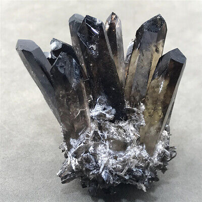 180g Natural Smoky Black Quartz Crystal Cluster Mineral Specimen Reiki .XC2759