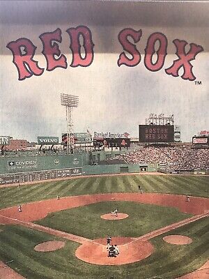 Boston Red Sox Fenway Park MLB Baseball Stadium Photo On Canvas 10.5”x 13.5” 👍