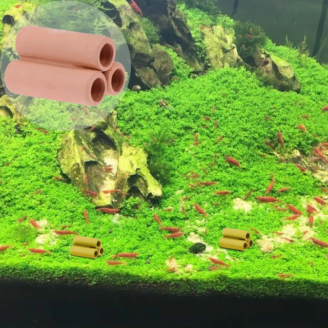 CONTENITORE PER PIANTE in plastica decorazione pianta fioriera scatola succulenta vasi da fiori CONTENITORE PER PIANTE in plastica decorazione pianta fioriera scatola succulenta vasi da fiori