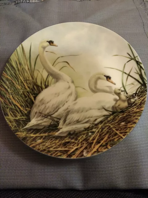 Swans Bird   Plate   - Nest Among The Reeds  -    Danbury Mint