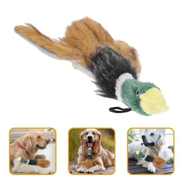 SPOT Ethical Products Fun Candy Hundespielzeug – Quietschend, Knisternd, Für Kleine Hunde