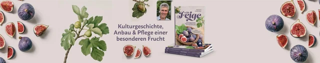 Die Feige, Norbert Liedmeier 2
