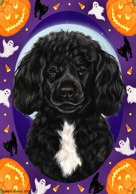 Halloween Garden Flag - Black and White Portuguese Water Dog 129121