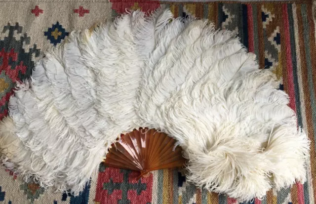 Antique Large Cream Plume Ostrich Feather Hand Fan Amber Celluloid Frame 83cm