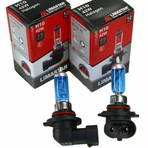 2x H10 42W Xenon Look Super White Birnen Lampen Blaues Glas E-Prüfzeichen