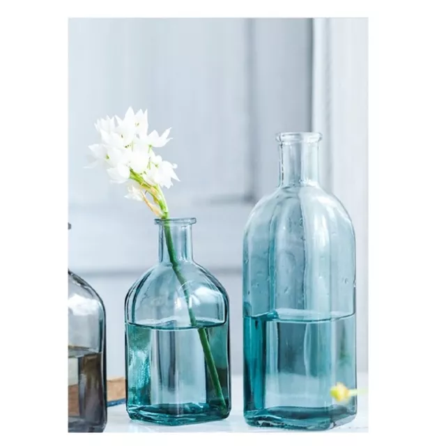 2Piece Transparent Creatives Hydroponic Glass Bottle Flower Device Vintage4665