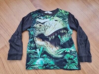 H&M Boys Dinosaur Long Sleeve Top 4-6Y Trex Tshirt