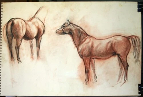 #1 Maureen Love Original Sketches Horses and Deer Views