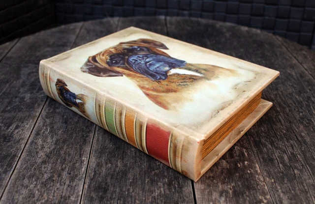 Nascondiglio libro cane boxer cassaforte per libri conservazione denaro gioielli scatola