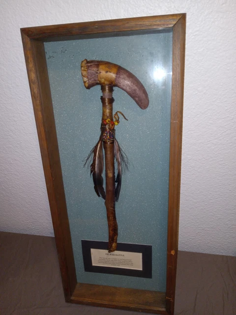 native american war rattle in shadow box. 25'X11"