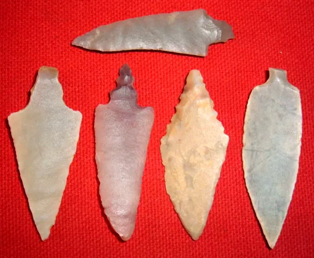 (5) Choice Mesolithic Stemmed Points, Tools (2"+-) Ancient African Arrowheads 2
