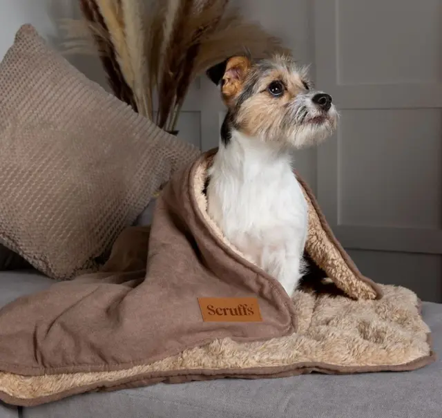 Scruffs Luxury Snuggle Pet Blanket M189 Free P&P