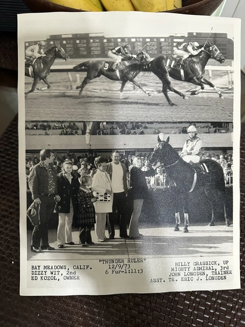 1973 Photograph  Race Horse “ Thunder Ruler” Bay Meadows California