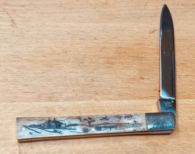 Vintage Doctors Pocket Knife With Scrimshaw Handle Frost Cutlery Japan