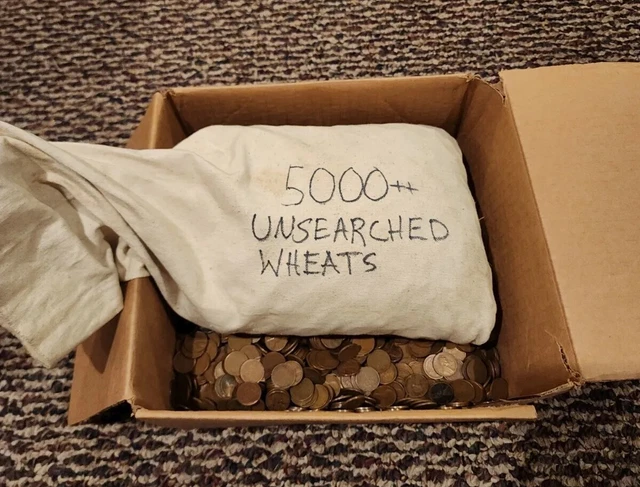 1 Pound Wheats P D & S Mints / Mix Of Some Early Dates Guaranteed! 1910-1958