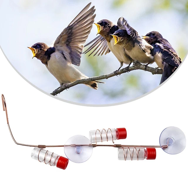 Controllo Della Mangiatoia Per Colibrì: Mantenere Le Api Dalle Mangiatoie Per Colibri
