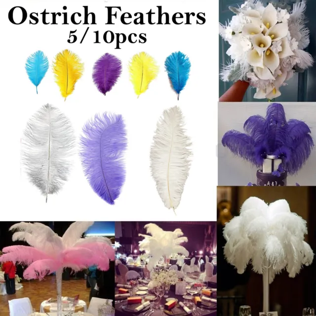 Ostrich Feathers - Extra Large Decor Table Centerpieces Costume 35-40cm/50-60cm
