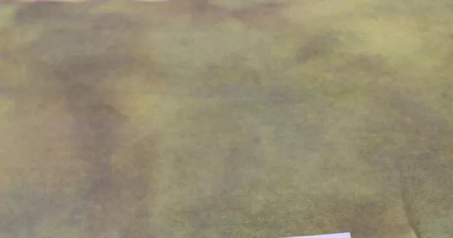 ALFOMBRA TEÑIDA A MANO DE PELTRE VERDE LANA ENGANCHADA Grasa 1/8 verde gris MANCHADO CUR